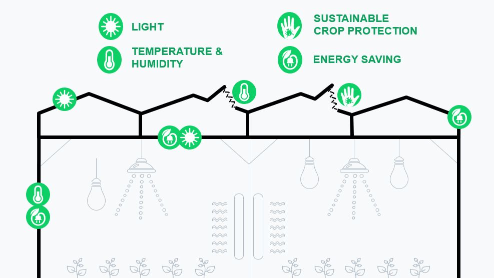 THE ROLE OF SUSTAINABILITY & INNOVATION IN HIGH-TECH GREENHOUSES